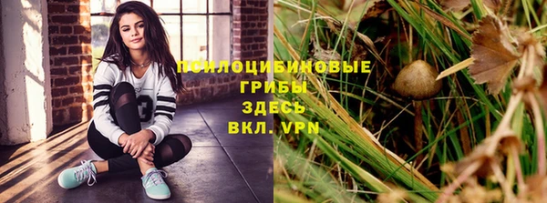 меф Алексеевка