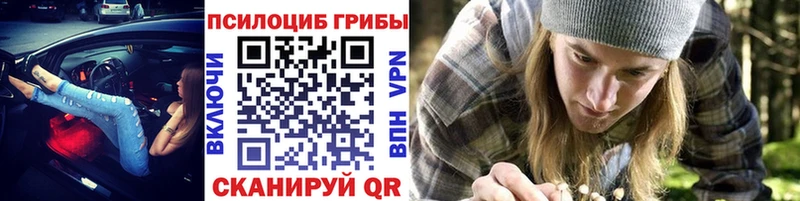 Псилоцибиновые грибы Cubensis хочу наркоту Заинск